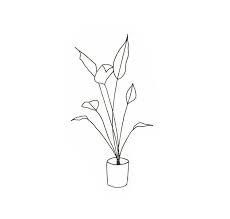 Black And White Line Art Pinterest Pin By Autumn Shade On Minimalist Tattoos Flower Line Drawings Simple Line Drawings Line Art Design