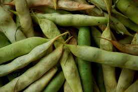 Maybe you would like to learn more about one of these? Brown Spots On Green Beans Top Tips On Why