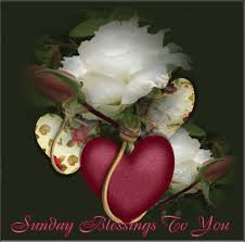 Check spelling or type a new query. Sunday Blessings To You Love Day Flowers Heart Friend Blessing Days Of The Week Sunday Greeting Sunday Greetings Blessed Sunday Flowers