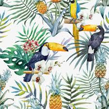 Millions Of Png Images Backgrounds And Vectors For Free Download Pngtree Watercolor Bird Prints Art