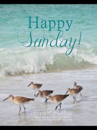 Sunday On The Beach Good Morning Sunshine Good Morning Friday Sunday Quotes Funny All mornings are awesome, but sunday morning is best of them. good morning sunshine