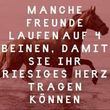 pin auf pferdespruche