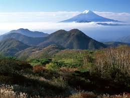 Amazing Mountain Pictures Yahoo Search Results Haunted Forest Aokigahara Aokigahara Forest