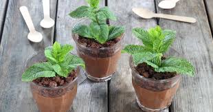 750g Vous Propose La Recette Mousse Au Chocolat Facon Pot De Fleur En Pas A Pas Avec Une Photo Pour Chaque Etape Mousse Au Chocolat Pot De Fleurs Chocolat