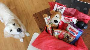 Check spelling or type a new query. 52 Perfect Gifts For Dog Lovers And Owners