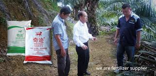 Nutrition in plants is the most important factor for achieving yield potentials. Fertilizer Supplier Selangor Malaysia Fertilizer For Oil Palm Durian Fertilizer Supply Kuala Lumpur Kl Tt Fertilisers Sdn Bhd
