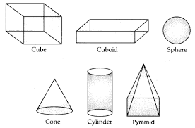 The cube the cuboid the triangular prism net and surface area faces edges and vertices. Visualising Solid Shapes Class 7 Notes Maths Chapter 15 Learn Cbse