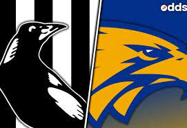 Take a timetabled fremantle line train to perth, and transfer to train to perth stadium station. Collingwood Vs West Coast Afl Grand Final Preview Multi And Tips Odds