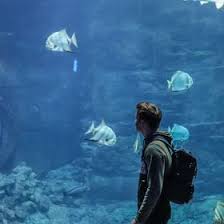 Kim Giese (kimi2000kjg)