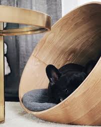 Tout le monde sait que vous ne vous fâchez jamais. Les Jolis Accessoires Pour Chiens Et Chats Chez Made Com All Co