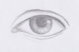 The bottom eyelashes should be smaller and clumped together a little bit. How To Draw Realistic Eyes Step By Step With Pencil Step 5 Continue Shading Love