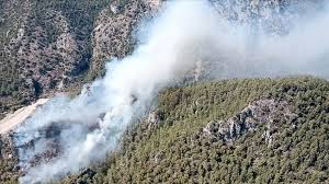 Adana'nın 2 ilçesinde orman yangını. Mugla Nin Milas Ilcesinde Orman Yangini Cikti