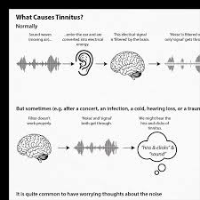 Image result for Tinnitus
