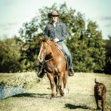 Image result for Copper 1983 Roper