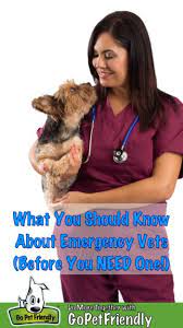 Read our vets' top first aid tips, including what to do for different emergencies such as bleeding and broken bones. What You Should Know About Emergency Vets Before You Need One