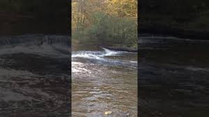Yogi bear™ and his team are looking forward to welcoming you to jellystone park™ in gardiner! Big Salmon Running Up River At Jellystone Park In Mexico Ny Youtube