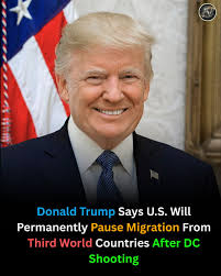 President Trump hits pause