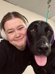 When it comes to blow drying dogs, ear protection is a must—for them and  for us! The sound of a high-velocity dryer can be loud enough to cause  discomfort or even long-term