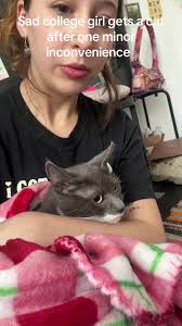 Cat Owned by A College Srudent