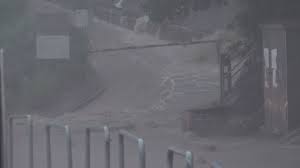 全部 黃色 紅色 紅色或黑色 黑色. Faoa8f6g Rfytm