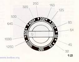 Film Speed Alchetron The Free Social Encyclopedia