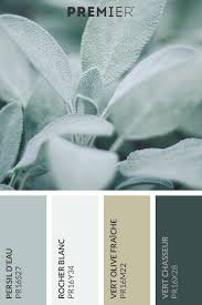 La Palette De Couleurs Ideale Avec La Couleur Premier Du Mois Persil D Eau Peindreave Green Color Palette Bedroom Green And White Bedroom Green Paint Colors