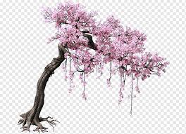 Pink flair® cherry makes a beautiful and big impact for a compact in height tree. Pink Cherry Blossom Tree Peach Tree Color Game Scene Trees Purple Tree Branch Branch Png Pngwing
