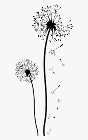 Contact us with a description of the clipart you are searching for and we'll help you find it. Transparent Png Dandelion Transparent Background Dandelion Clipart Png Png Download Transparent Png Image Pngitem