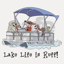 Pontoon Boat Shot Glass By Lake Life Is Ruff Cafepress In 2021 Pontoon Boat Pontoon Boat Drawing