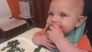 Blw 6 Month Old Eating Spinach Zucchini Flowers Mushrooms Youtube
