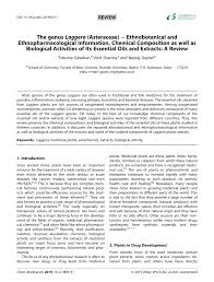 Image result for Laggera elatior