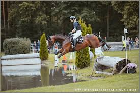 We would like to show you a description here but the site won't allow us. Bundeschampionats Finalisten Stehen Fest Buschreiter De