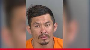 Collier County man crashes into canal after police chase