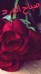ملامح الصباح تتغير من ظلام الى النور فقط حين تشرق انت وتبادرني ب صباح الخير ي سكر good morning flowers good morning greetings good morning arabic