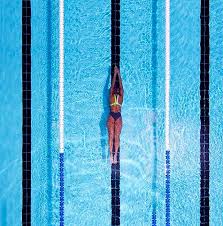 The Most Common Freestyle Mistakes Made By Beginner Swimmers Swimming Photography Freestyle Swimming Swimming Pictures