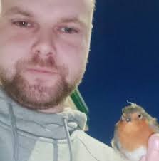 Robins aren't just for Christmas! 🌟I've two in the garden. One is  particularly naughty and poops