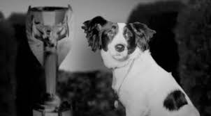 Sports - Pickles saved the World Cup  The Collie dog is well known for  his role in finding the stolen Jules Rimet Trophy in March 1966 four  months before the 1966