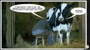 For what it's worth is useful to emphasize humility by prompting the reader to provide their judgment of worth against the statement being made; Rolls Off The Tongue Milking It For All It S Worth Origin 16th