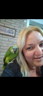 Buen día grupo ocupo d sus consejos Hoy note q mi lorito está respirando un  poco más rápido y hasta se le oye como un pillido, hace poco m lo regalaron  tiene