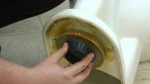 How To Replace Toilet Wax O Rings How To Fix Toilets Youtube