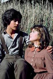Prairie Sylvia Part 1 Episode 17 Air Date 2 9 81 Pictured Matthew Laborteaux As Albert Quinn Ingalls Olivia Barash As Sylv Little House Home Pictures Prairie