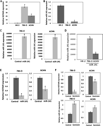 Unit 3a02, block a, phileo damansara ii, no.15, jalan 16/11, off jalan damansara, 46350 petaling jaya, selangor. Long Non Coding Rna Hotair Is Targeted And Regulated By Mir 141 In Human Cancer Cells Journal Of Biological Chemistry