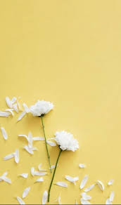 Best Flowers Tumblr Background Pastel Ideas Flower Phone Wallpaper Cellphone Wallpaper Flower Background Wallpaper