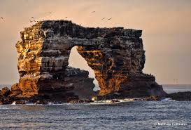 Log a dive or post a picture at darwin s arch. Matthias Hoffmann Fotografie Galapagos