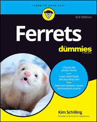 How much do things cost in australia? Ferrets For Dummies Amazon Co Uk Schilling Kim 9781119720836 Books