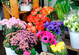 Miami flowers wholesale, el paso, tx. About Us Premium Flowers