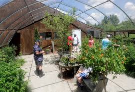 We did not find results for: The Buzz Butterfly Gardens Of Wisconsin Closes Due To Virus Concerns