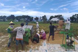 Akta lembaga padi dan beras negara 1971. Kementan Jaga Harga Beras Saat Panen Raya Melalui Kostraling Halaman All Kompas Com