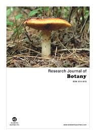 Image result for Selaginella imbricata