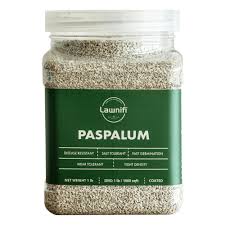 Image result for Paspalum